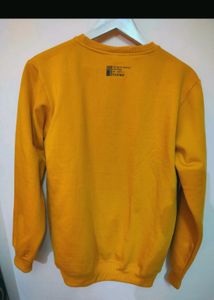 Men Winter Sweatshirt Branded Unused More Availabl