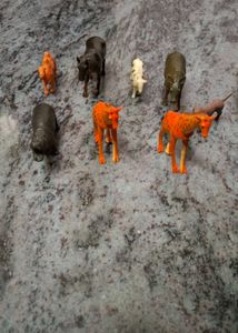 Animal Toys
