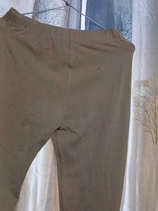 Women  Pancil Pant  Golden