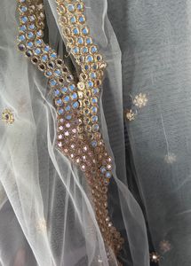 Elegant Net Duppatta