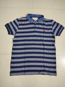 Stripped Polo Tshirt for men