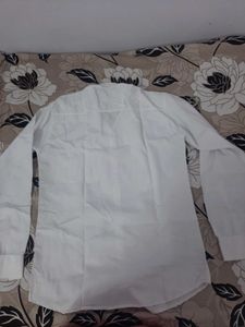 Basic White Shirt