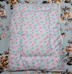 New Born Baby SLLEPING CARY BAG