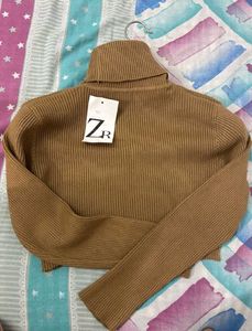 ZARA Turtle Neck 🤎