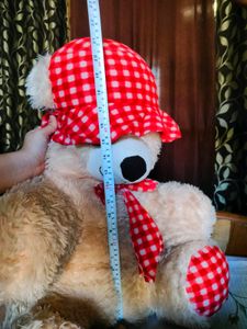 Teddy Bear