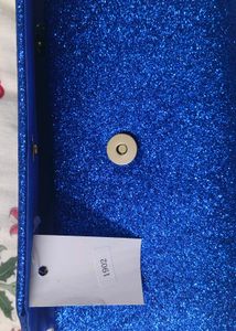 Brand New Clutch With Tag