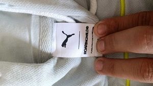 puma roaring wild cropped sports hoodie