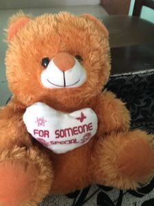 Combo Pink and Brown Soft Tou