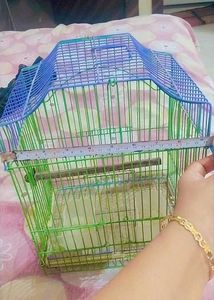 Birds Cage