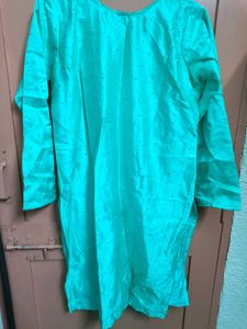 Embroidered Ethnic Skirt