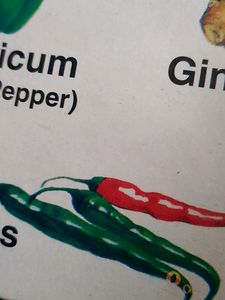 Small Board Book Of Vegetables