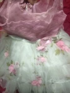 rose Floral Tulle Party Dress