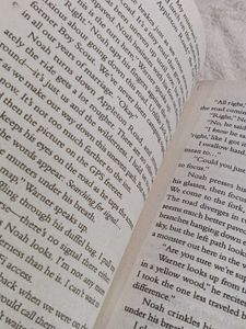 Freida McFadden Thriller Book Set 6