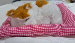 Realistic Sleeping Cat Plush Toy