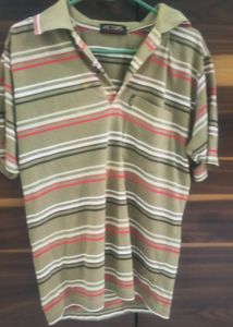 Striped Polo T-Shirt