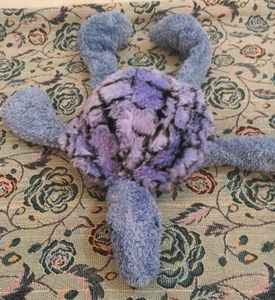 Cute Turtle