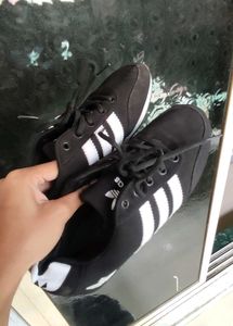Adidas Shoes