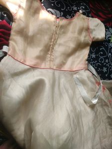 Ethnic Gown