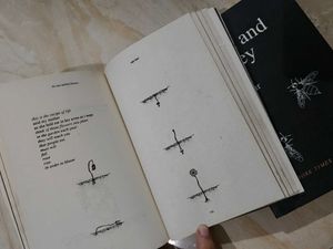 Rupi Kaur Poetry Set