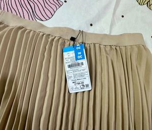 Accordion Pleated Skirt