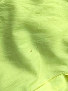 Unisex Shirt ( XL ) 👕 Lime Green / Light Yellow