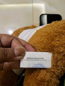 Bravery Bear - MQ Health Plush Toy