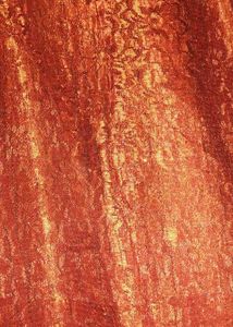 Elegant Copper Embroidered Kurta