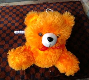 TEDDY