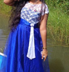 Elegant Blue Neted Gown