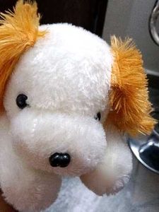 Cute Plush Dog Toy
