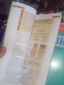 Class XII Biology Part-I