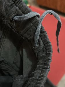 Women Jockey Lower