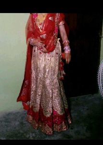 Gorgeous Lehenga Choli