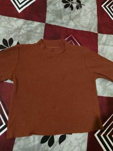 Brown Full sleeve Ribbed Mock Neck Top