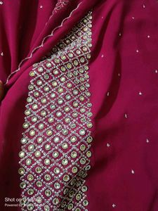 Elegant Embellished Saree