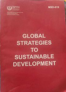 Global Strategies to Sustainable Development Book