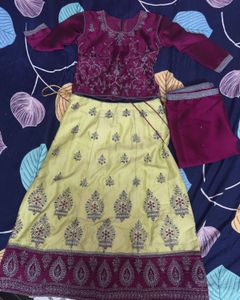 Elegant Embroidered Lehenga Choli Set