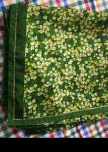 Shining Saree
