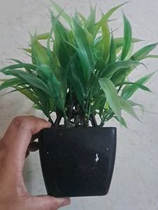 Artificial Green