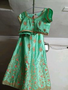 Elegant Mint Green Lehenga Choli