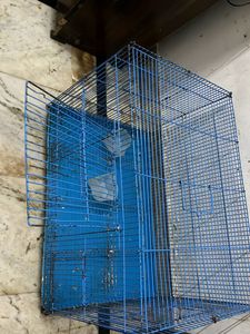Cage Big Size