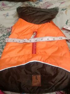 dog&#39;s Jacket