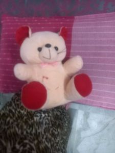 Teddy Bear
