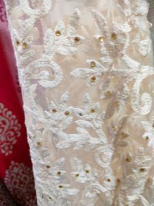 FANTASTIC CHIFFON AND NET SAREE