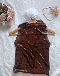 Brown Velvet Top