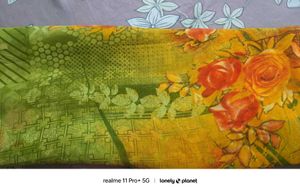 Parrot Green Saree