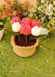 Tulip Pot