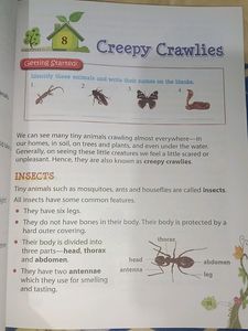Environmental Education
