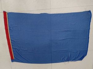 Blue &amp; Red Saree