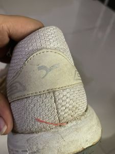 Used Sneakers